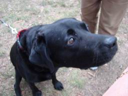 Resize of DSC05822.JPG